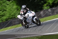 anglesey;brands-hatch;cadwell-park;croft;donington-park;enduro-digital-images;event-digital-images;eventdigitalimages;mallory;no-limits;oulton-park;peter-wileman-photography;racing-digital-images;silverstone;snetterton;trackday-digital-images;trackday-photos;vmcc-banbury-run;welsh-2-day-enduro