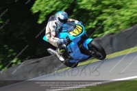 anglesey;brands-hatch;cadwell-park;croft;donington-park;enduro-digital-images;event-digital-images;eventdigitalimages;mallory;no-limits;oulton-park;peter-wileman-photography;racing-digital-images;silverstone;snetterton;trackday-digital-images;trackday-photos;vmcc-banbury-run;welsh-2-day-enduro