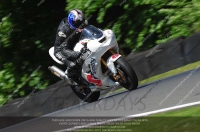 anglesey;brands-hatch;cadwell-park;croft;donington-park;enduro-digital-images;event-digital-images;eventdigitalimages;mallory;no-limits;oulton-park;peter-wileman-photography;racing-digital-images;silverstone;snetterton;trackday-digital-images;trackday-photos;vmcc-banbury-run;welsh-2-day-enduro