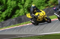 anglesey;brands-hatch;cadwell-park;croft;donington-park;enduro-digital-images;event-digital-images;eventdigitalimages;mallory;no-limits;oulton-park;peter-wileman-photography;racing-digital-images;silverstone;snetterton;trackday-digital-images;trackday-photos;vmcc-banbury-run;welsh-2-day-enduro