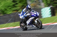 anglesey;brands-hatch;cadwell-park;croft;donington-park;enduro-digital-images;event-digital-images;eventdigitalimages;mallory;no-limits;oulton-park;peter-wileman-photography;racing-digital-images;silverstone;snetterton;trackday-digital-images;trackday-photos;vmcc-banbury-run;welsh-2-day-enduro