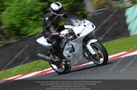 anglesey;brands-hatch;cadwell-park;croft;donington-park;enduro-digital-images;event-digital-images;eventdigitalimages;mallory;no-limits;oulton-park;peter-wileman-photography;racing-digital-images;silverstone;snetterton;trackday-digital-images;trackday-photos;vmcc-banbury-run;welsh-2-day-enduro
