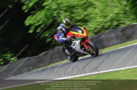 anglesey;brands-hatch;cadwell-park;croft;donington-park;enduro-digital-images;event-digital-images;eventdigitalimages;mallory;no-limits;oulton-park;peter-wileman-photography;racing-digital-images;silverstone;snetterton;trackday-digital-images;trackday-photos;vmcc-banbury-run;welsh-2-day-enduro