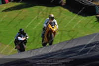 Novice Green/Yellow Bikes