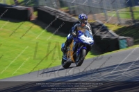 anglesey;brands-hatch;cadwell-park;croft;donington-park;enduro-digital-images;event-digital-images;eventdigitalimages;mallory;no-limits;oulton-park;peter-wileman-photography;racing-digital-images;silverstone;snetterton;trackday-digital-images;trackday-photos;vmcc-banbury-run;welsh-2-day-enduro