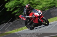 anglesey;brands-hatch;cadwell-park;croft;donington-park;enduro-digital-images;event-digital-images;eventdigitalimages;mallory;no-limits;oulton-park;peter-wileman-photography;racing-digital-images;silverstone;snetterton;trackday-digital-images;trackday-photos;vmcc-banbury-run;welsh-2-day-enduro