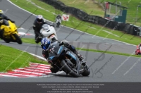 anglesey;brands-hatch;cadwell-park;croft;donington-park;enduro-digital-images;event-digital-images;eventdigitalimages;mallory;no-limits;oulton-park;peter-wileman-photography;racing-digital-images;silverstone;snetterton;trackday-digital-images;trackday-photos;vmcc-banbury-run;welsh-2-day-enduro