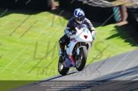 anglesey;brands-hatch;cadwell-park;croft;donington-park;enduro-digital-images;event-digital-images;eventdigitalimages;mallory;no-limits;oulton-park;peter-wileman-photography;racing-digital-images;silverstone;snetterton;trackday-digital-images;trackday-photos;vmcc-banbury-run;welsh-2-day-enduro