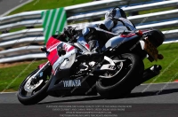 anglesey;brands-hatch;cadwell-park;croft;donington-park;enduro-digital-images;event-digital-images;eventdigitalimages;mallory;no-limits;oulton-park;peter-wileman-photography;racing-digital-images;silverstone;snetterton;trackday-digital-images;trackday-photos;vmcc-banbury-run;welsh-2-day-enduro