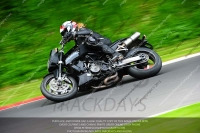 BLACK/SILVER BIKES