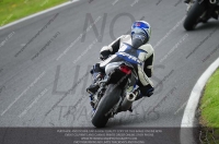 BLUE/WHITE BIKES