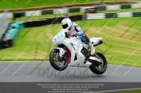 BLUE/WHITE BIKES
