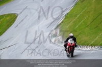 Fast Red/Orange Bikes