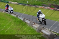 Novice Blue/White Bikes