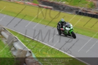 INTER GREEN/YELLOW BIKES