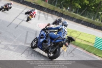EVENING FAST/INTER BLUE/WHITE BIKES