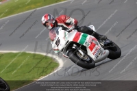 brands-hatch-photographs;brands-no-limits-trackday;cadwell-trackday-photographs;enduro-digital-images;event-digital-images;eventdigitalimages;no-limits-trackdays;peter-wileman-photography;racing-digital-images;trackday-digital-images;trackday-photos