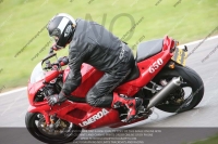 EVENING NOVICE/INTER RED/ORANGE BIKES