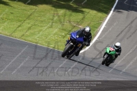 FAST BLUE/WHITE BIKES