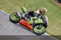 Inter Multicolour Bikes