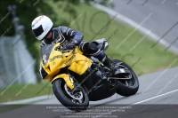 Novice Green/Yellow Bikes