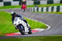FAST BLUE/WHITE BIKES