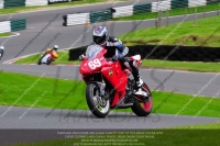 cadwell-no-limits-trackday;cadwell-park;cadwell-park-photographs;cadwell-trackday-photographs;enduro-digital-images;event-digital-images;eventdigitalimages;no-limits-trackdays;peter-wileman-photography;racing-digital-images;trackday-digital-images;trackday-photos