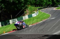 cadwell-no-limits-trackday;cadwell-park;cadwell-park-photographs;cadwell-trackday-photographs;enduro-digital-images;event-digital-images;eventdigitalimages;no-limits-trackdays;peter-wileman-photography;racing-digital-images;trackday-digital-images;trackday-photos