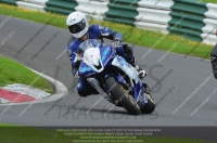 Blue/White Bikes
