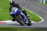 Blue/White Bikes