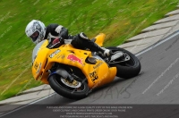 Novice Green/Yellow Bikes