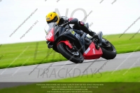 anglesey;brands-hatch;cadwell-park;croft;donington-park;enduro-digital-images;event-digital-images;eventdigitalimages;mallory;no-limits;oulton-park;peter-wileman-photography;racing-digital-images;silverstone;snetterton;trackday-digital-images;trackday-photos;welsh-2-day-enduro
