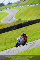 anglesey;brands-hatch;cadwell-park;croft;donington-park;enduro-digital-images;event-digital-images;eventdigitalimages;mallory;no-limits;oulton-park;peter-wileman-photography;racing-digital-images;silverstone;snetterton;trackday-digital-images;trackday-photos;welsh-2-day-enduro