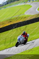 anglesey;brands-hatch;cadwell-park;croft;donington-park;enduro-digital-images;event-digital-images;eventdigitalimages;mallory;no-limits;oulton-park;peter-wileman-photography;racing-digital-images;silverstone;snetterton;trackday-digital-images;trackday-photos;welsh-2-day-enduro