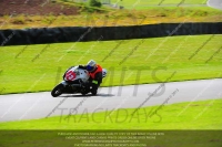 anglesey;brands-hatch;cadwell-park;croft;donington-park;enduro-digital-images;event-digital-images;eventdigitalimages;mallory;no-limits;oulton-park;peter-wileman-photography;racing-digital-images;silverstone;snetterton;trackday-digital-images;trackday-photos;welsh-2-day-enduro