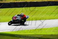 anglesey;brands-hatch;cadwell-park;croft;donington-park;enduro-digital-images;event-digital-images;eventdigitalimages;mallory;no-limits;oulton-park;peter-wileman-photography;racing-digital-images;silverstone;snetterton;trackday-digital-images;trackday-photos;welsh-2-day-enduro