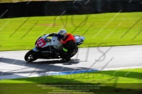 anglesey;brands-hatch;cadwell-park;croft;donington-park;enduro-digital-images;event-digital-images;eventdigitalimages;mallory;no-limits;oulton-park;peter-wileman-photography;racing-digital-images;silverstone;snetterton;trackday-digital-images;trackday-photos;welsh-2-day-enduro