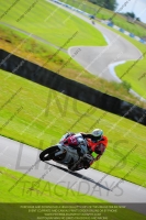 anglesey;brands-hatch;cadwell-park;croft;donington-park;enduro-digital-images;event-digital-images;eventdigitalimages;mallory;no-limits;oulton-park;peter-wileman-photography;racing-digital-images;silverstone;snetterton;trackday-digital-images;trackday-photos;welsh-2-day-enduro