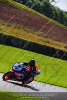 anglesey;brands-hatch;cadwell-park;croft;donington-park;enduro-digital-images;event-digital-images;eventdigitalimages;mallory;no-limits;oulton-park;peter-wileman-photography;racing-digital-images;silverstone;snetterton;trackday-digital-images;trackday-photos;welsh-2-day-enduro