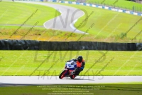 anglesey;brands-hatch;cadwell-park;croft;donington-park;enduro-digital-images;event-digital-images;eventdigitalimages;mallory;no-limits;oulton-park;peter-wileman-photography;racing-digital-images;silverstone;snetterton;trackday-digital-images;trackday-photos;welsh-2-day-enduro