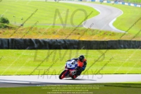 anglesey;brands-hatch;cadwell-park;croft;donington-park;enduro-digital-images;event-digital-images;eventdigitalimages;mallory;no-limits;oulton-park;peter-wileman-photography;racing-digital-images;silverstone;snetterton;trackday-digital-images;trackday-photos;welsh-2-day-enduro