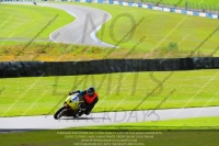 anglesey;brands-hatch;cadwell-park;croft;donington-park;enduro-digital-images;event-digital-images;eventdigitalimages;mallory;no-limits;oulton-park;peter-wileman-photography;racing-digital-images;silverstone;snetterton;trackday-digital-images;trackday-photos;welsh-2-day-enduro