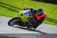 anglesey;brands-hatch;cadwell-park;croft;donington-park;enduro-digital-images;event-digital-images;eventdigitalimages;mallory;no-limits;oulton-park;peter-wileman-photography;racing-digital-images;silverstone;snetterton;trackday-digital-images;trackday-photos;welsh-2-day-enduro