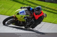 anglesey;brands-hatch;cadwell-park;croft;donington-park;enduro-digital-images;event-digital-images;eventdigitalimages;mallory;no-limits;oulton-park;peter-wileman-photography;racing-digital-images;silverstone;snetterton;trackday-digital-images;trackday-photos;welsh-2-day-enduro