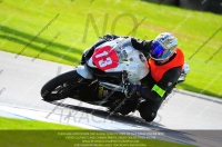 anglesey;brands-hatch;cadwell-park;croft;donington-park;enduro-digital-images;event-digital-images;eventdigitalimages;mallory;no-limits;oulton-park;peter-wileman-photography;racing-digital-images;silverstone;snetterton;trackday-digital-images;trackday-photos;welsh-2-day-enduro