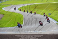anglesey;brands-hatch;cadwell-park;croft;donington-park;enduro-digital-images;event-digital-images;eventdigitalimages;mallory;no-limits;oulton-park;peter-wileman-photography;racing-digital-images;silverstone;snetterton;trackday-digital-images;trackday-photos;welsh-2-day-enduro