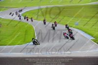 anglesey;brands-hatch;cadwell-park;croft;donington-park;enduro-digital-images;event-digital-images;eventdigitalimages;mallory;no-limits;oulton-park;peter-wileman-photography;racing-digital-images;silverstone;snetterton;trackday-digital-images;trackday-photos;welsh-2-day-enduro