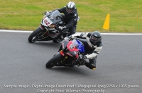 Sample Images 5 Megapixel Digital Download Qualitity