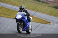 FAST BLUE/WHITE BIKES