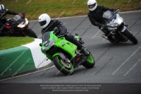anglesey;brands-hatch;cadwell-park;croft;donington-park;enduro-digital-images;event-digital-images;eventdigitalimages;mallory;no-limits;oulton-park;peter-wileman-photography;racing-digital-images;silverstone;snetterton;trackday-digital-images;trackday-photos;vmcc-banbury-run;welsh-2-day-enduro